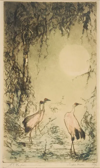 Tropic Moon