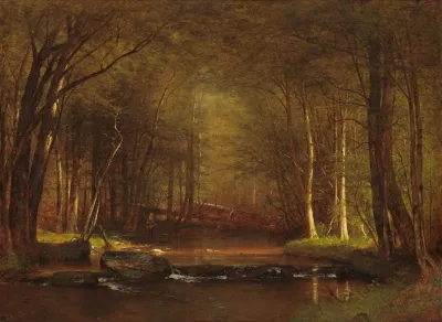 Trout Brook In The Catskills
