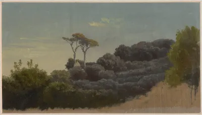 Trunks On A Hill And Cupola Of A Building