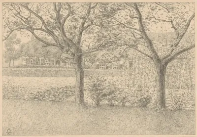 Tuin Met Bomen En Stokbonen Tuin In Laren