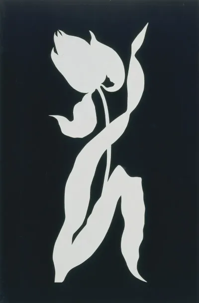 Tulip 5