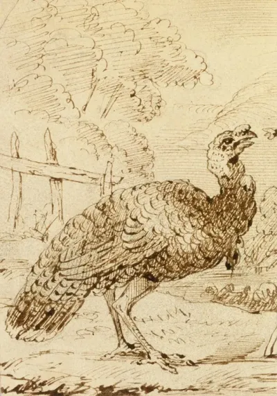 Turkey 2