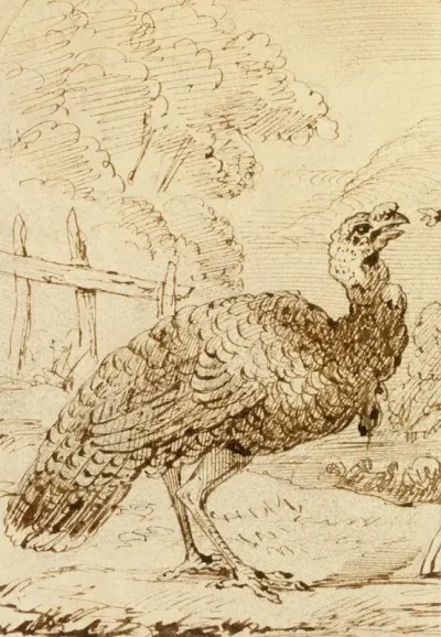 Turkey