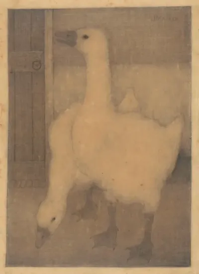 Twee Ganzen