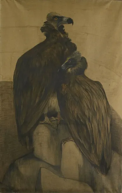 Two Arabian Vultures
