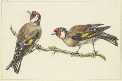 Two Goldfinches 2