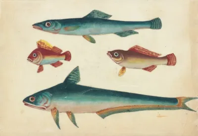 Two Green Fish Two Brown Fish