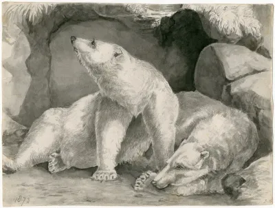 Two Polar Bears