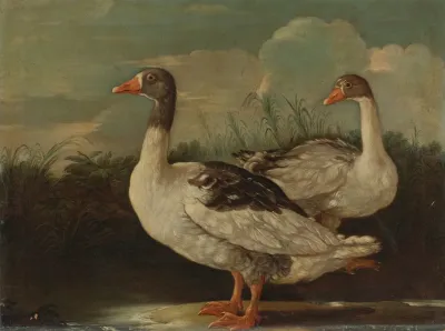 Two Proud Geese