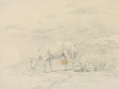 Two Sheep 3