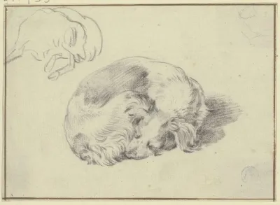 Two Sleeping Dogs