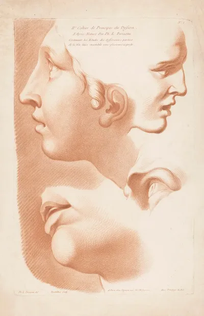 Two Womens Faces Mouth And Eye