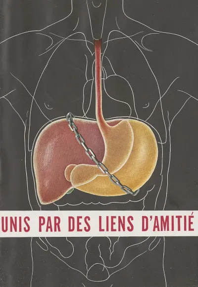 Unis Par Des Liens Damitie
