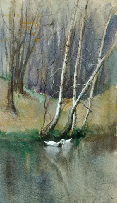 Untitled Wood Scene With Birch Trees And Ducks