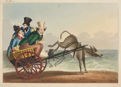 Upset Donkey Cart
