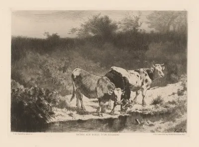 Vaches Aux Bords Dun Ruisseau