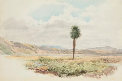 Valley Of The Mason Highfield Rim Amuri Nelson