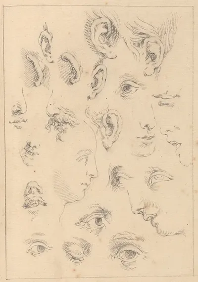 Various Sketches Of Eyes Ears And Profiles