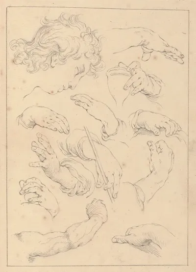 Various Sketches Of Hands Heads And Arms