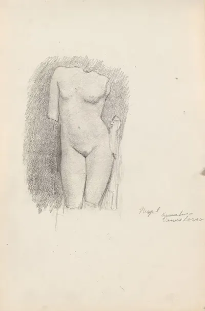 Venus Torso