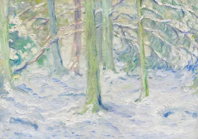 Verschneiter Wald