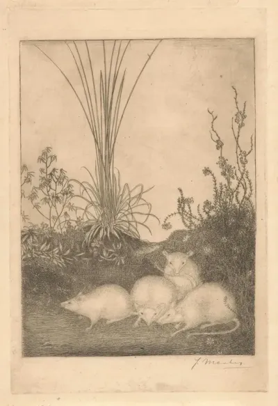 Vier Muizen