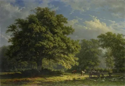 View In The Bentheim Forest