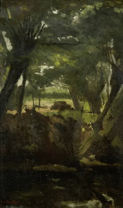 View In The Woods