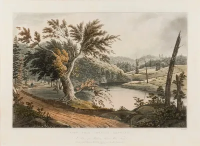 View Near Jessups Landing
