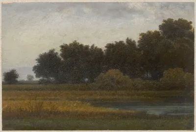 View Of A Meadow With A Pond