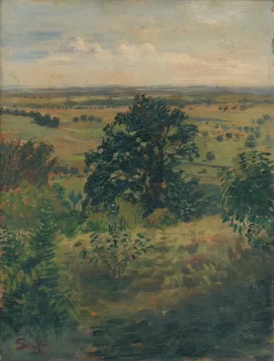 View Of Sur Stefan