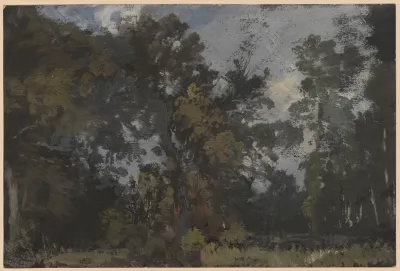 View Of Trees By The River Barycz