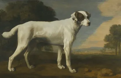 Viscount Gormanstons White Dog