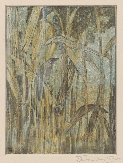 Vogel In Het Riet