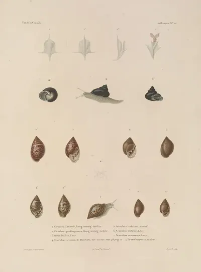 Voyage Autour Du Monde Pl 055