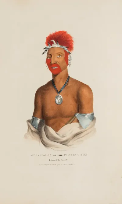 Waa Pa Laa Or The Playing Fox Prince Of The Fox Tribe