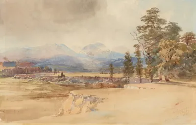 Waipoua