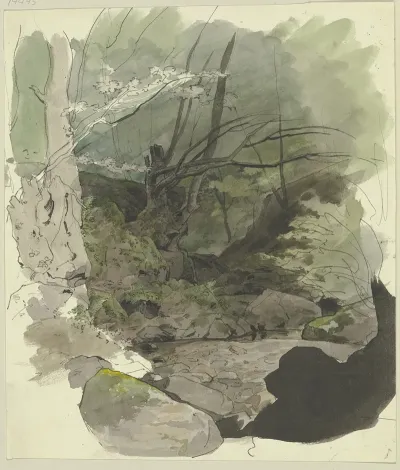 Waldbach 4