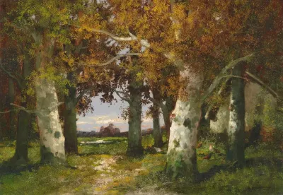 Waldlandschaft 4