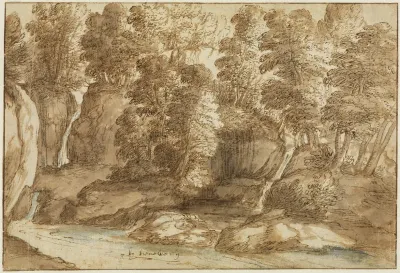 Waldlandschaft Bei Tivoli