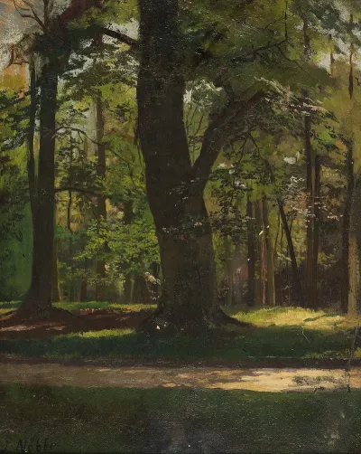 Waldlichtung Im Tiergarten Berlin