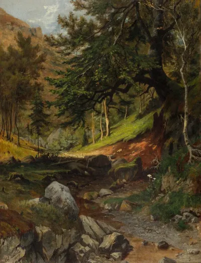 Waldpartie Mit Bachlauf