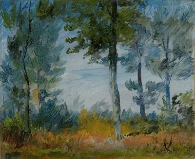 Waldrand Waldlichtung