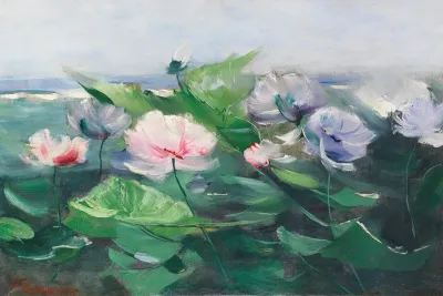 Wasserrosen