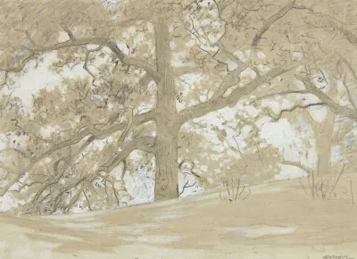 Waverly Oaks