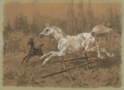 White Mare And Black Foal