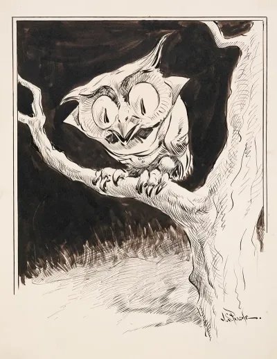 Wide Eyed Owl On Branch
