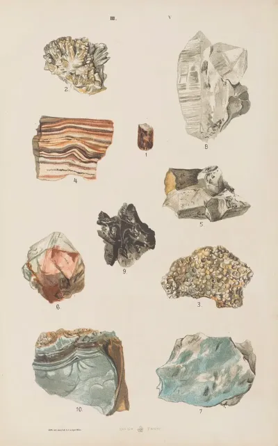 Wielki Atlas Do Zoologii Botaniki I Mineralogii Pl 117