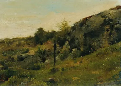 Wiesenlandschaft Mit Felsen