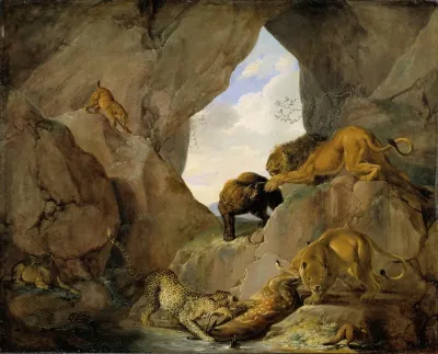 Wild Animals In A Mountain Gorge